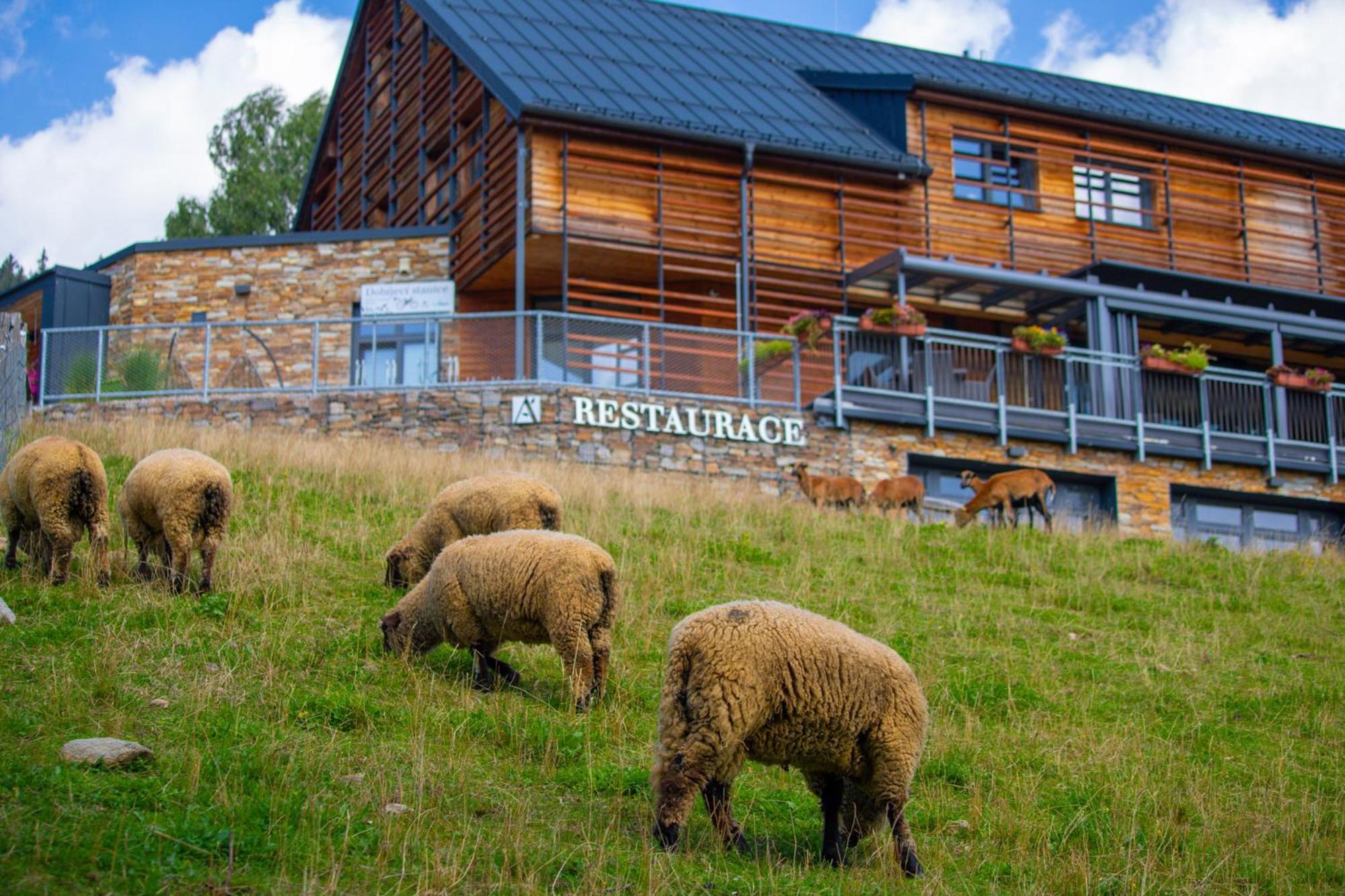 Amenity Hotel & Resort Spindleruv Mlyn Bagian luar foto
